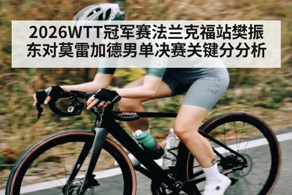 2026WTT冠军赛法兰克福站樊振东对莫雷加德男单决赛关键分分析